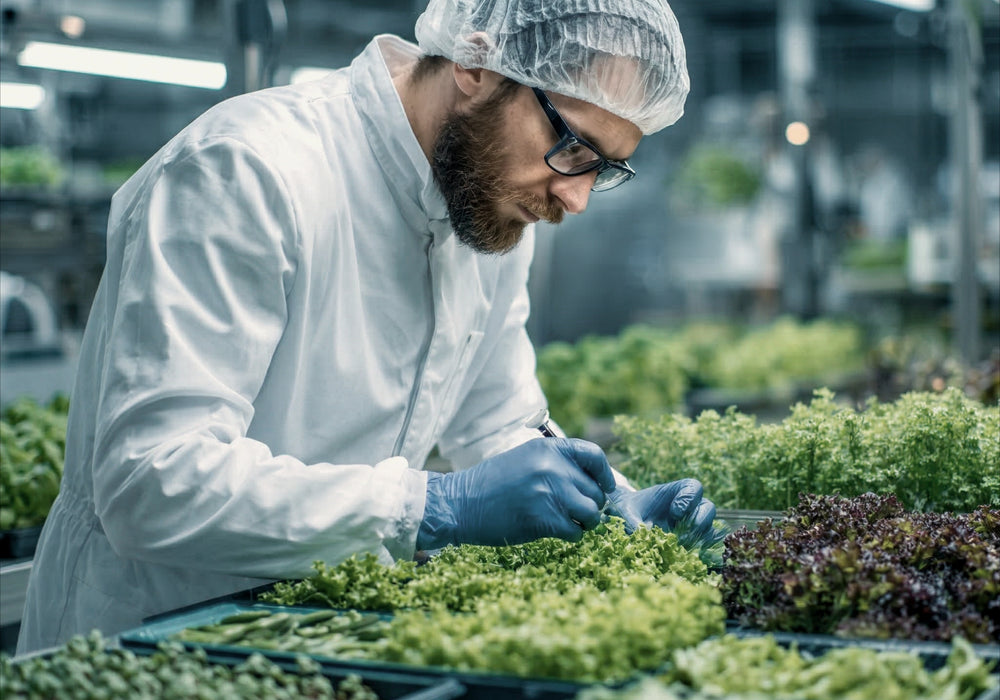 INNOVATION AND RESEARCH
